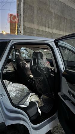 جيتور داشينج